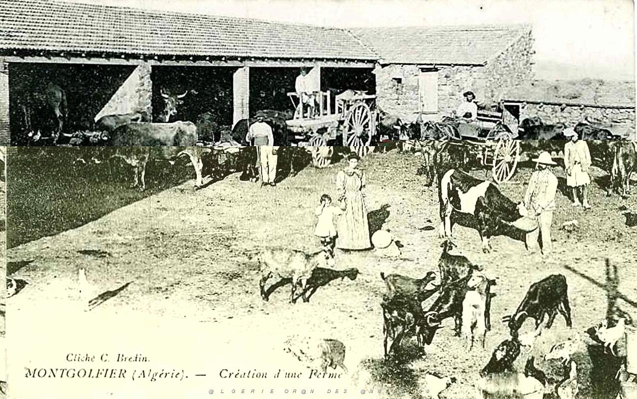 348- Montgolfier - Creation d'une ferme.jpg